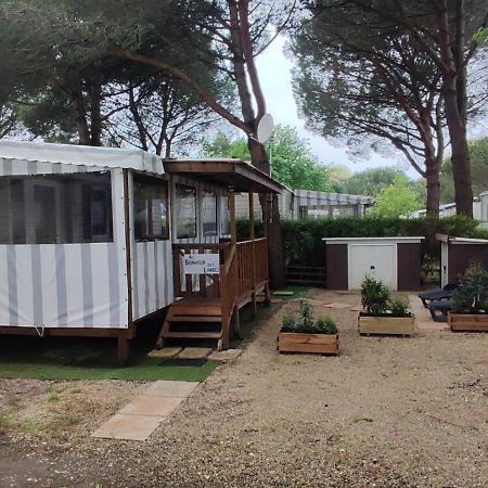 Au Bonheur Des Landes Hotel Gastes Kültér fotó
